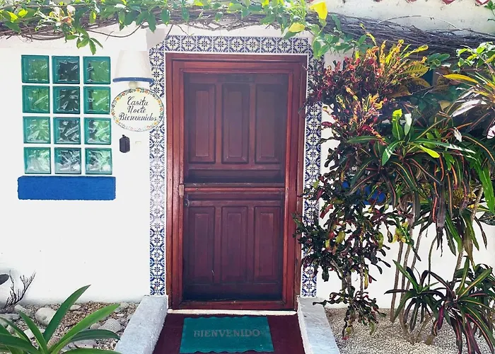Apartment Beautiful & Cozy In Paradise-wifi, Ac