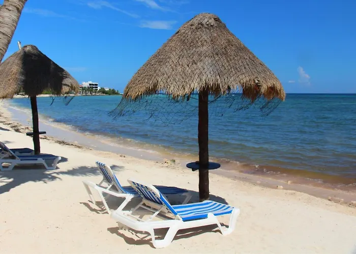 Beautiful & Cozy In Paradise-wifi, Ac Apartment
