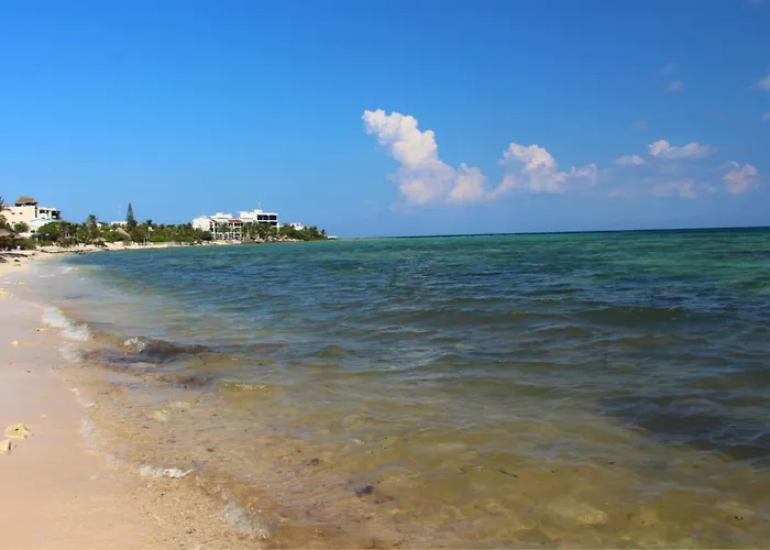 Beautiful & Cozy In Paradise-wifi, Ac Apartment Akumal