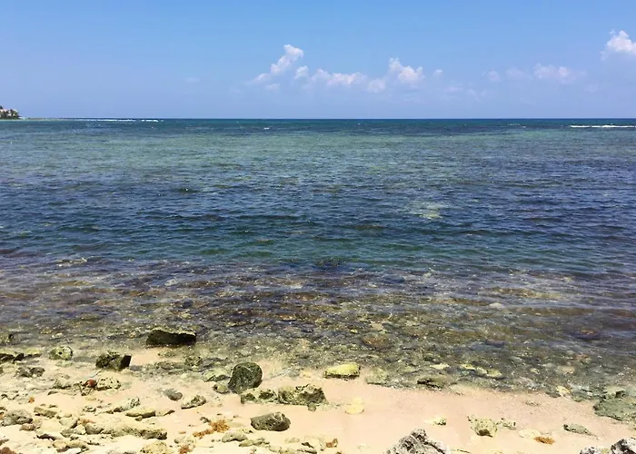 Apartment Beautiful & Cozy In Paradise-wifi, Ac *